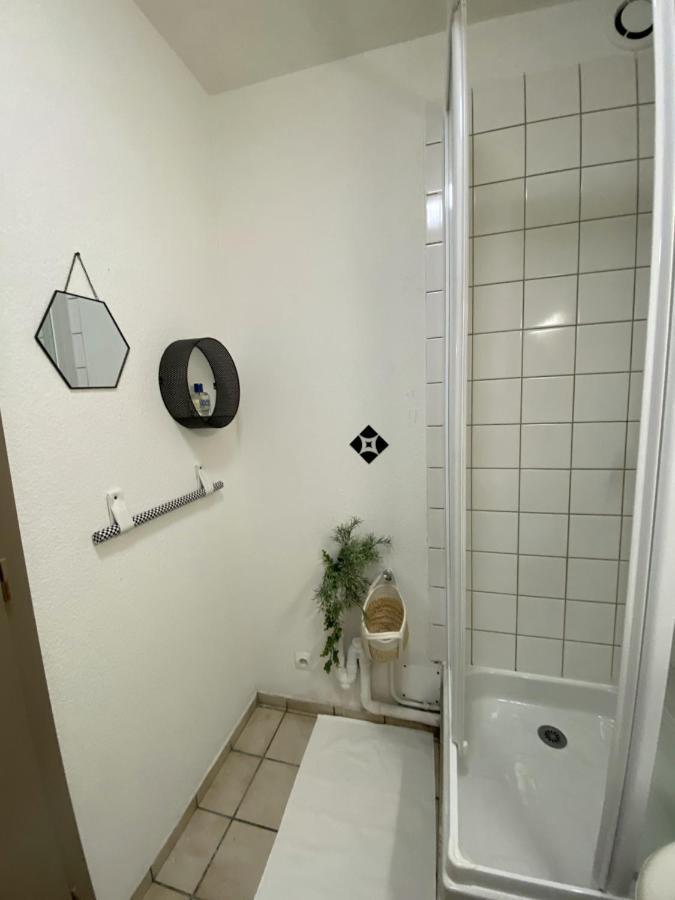 Suzanne Strasbourg Apartment Luaran gambar
